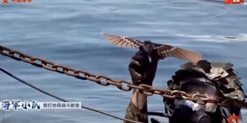 Μη Επανδρωμένα Αεροσκάφη Nano-Drones σε μορφή πουλιού παρουσίασαν οι Jiaolong Commandos του Κινεζικού Στρατού – Η κινεζική εξέλιξη των Black Hornet των ΕΤΑ